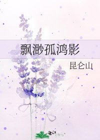飄渺孤鴻影